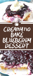 CREAMY NO BAKE BLUEBERRY DESSERT