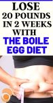 THE BOILED EGG DIET….HOW TO LOSE 20 POUNDS IN 2 WEEKS