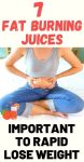 7 Fat Burning Juices Important To Rapid Lose Weight