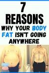 7 Reasons Why Your Body Fat Isn’t Going Anywhere