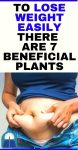 To Lose Weight Easily,There Are 7 Beneficial Plants