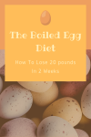 THE BOILED EGG DIET….HOW TO LOSE 20 POUNDS IN 2 WEEKS